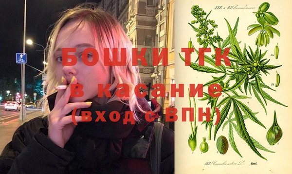 твердый Богданович