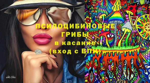 таблы Богородск