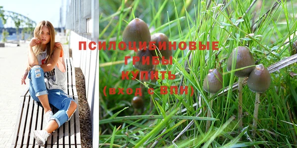 твердый Богданович