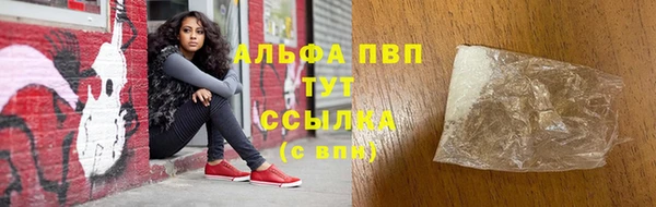 твердый Богданович
