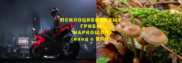 таблы Богородск
