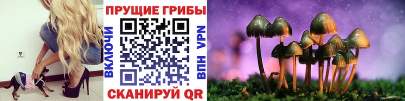 kraken ТОР  Ефремов  Галлюциногенные грибы MAGIC MUSHROOMS  купить наркоту 